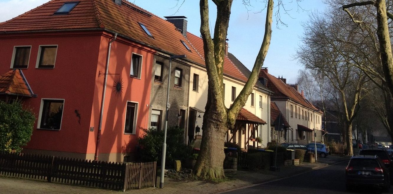 Alte Platane wird am Montag gefällt – Grabenstraße gesperrt