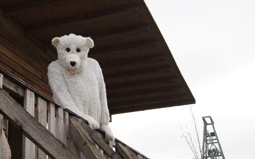 Videobotschaft: Was der Eisbär in Lohberg macht