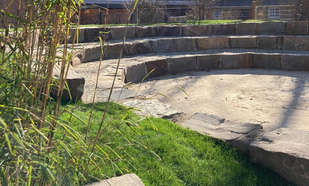 Grüne Insel statt Ödnis auf dem Schulhof