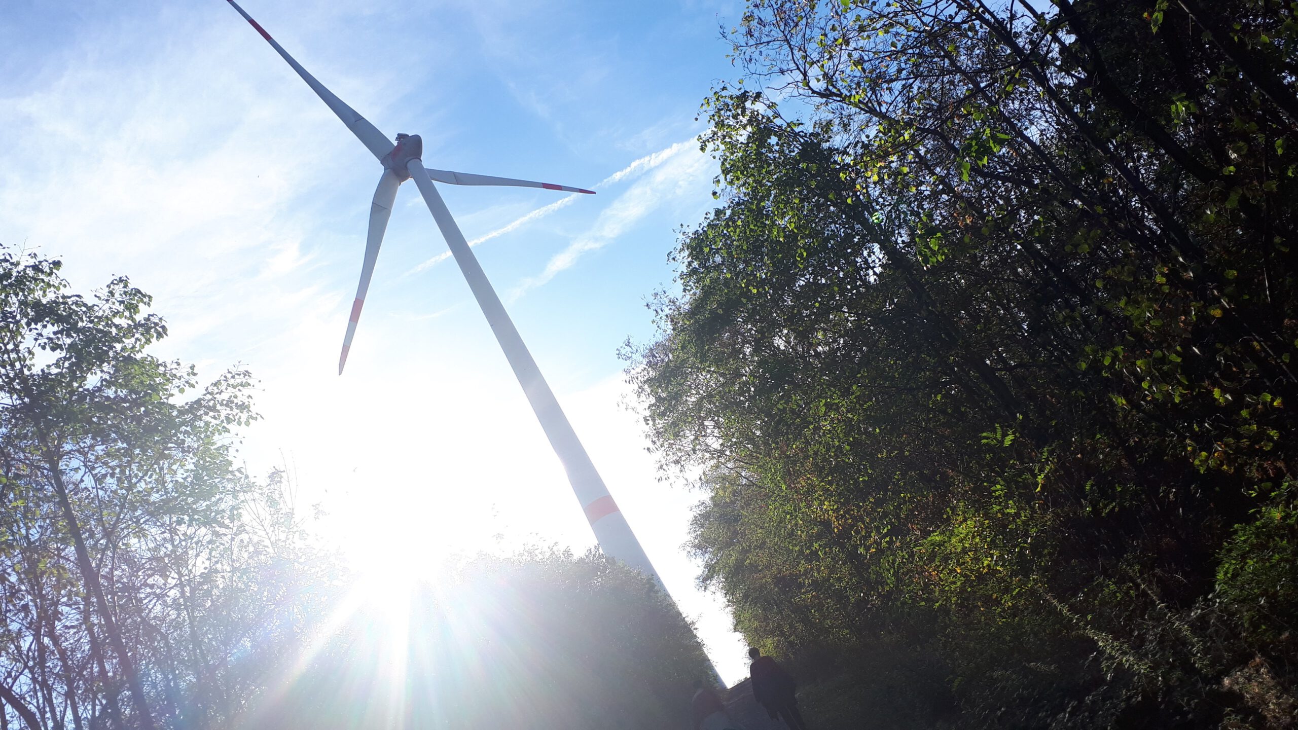 Fehlalarm am Windrad auf der Halde