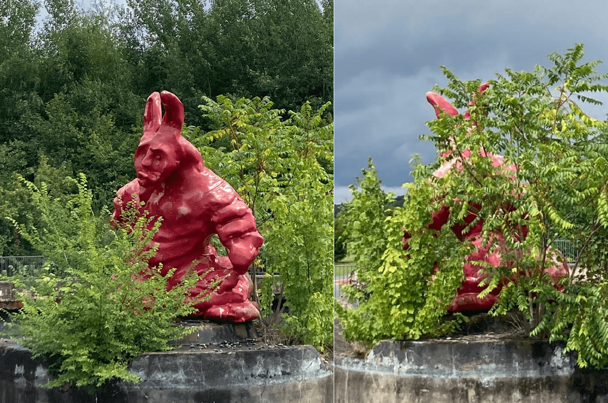 Steht ein roter Hase im Wald