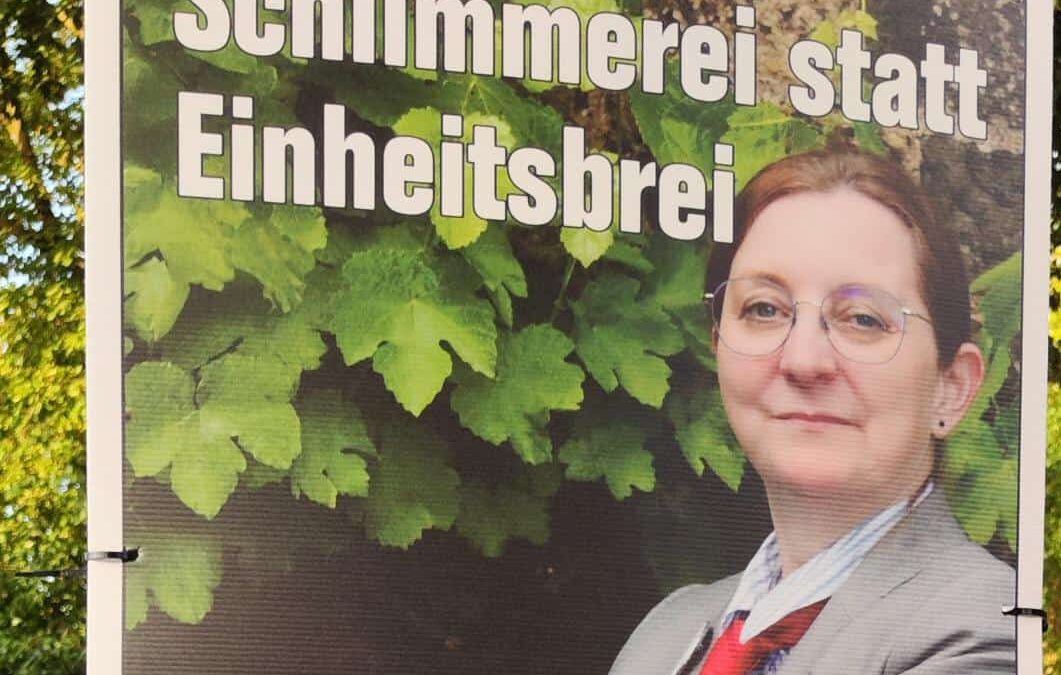 Kommunalwahl 2025: Julia Schlimmerei (Die PARTEI) im Lohberg-Check