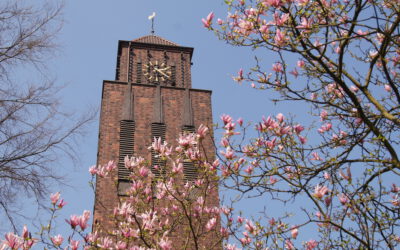 Wortgottesdienste in St.Marien