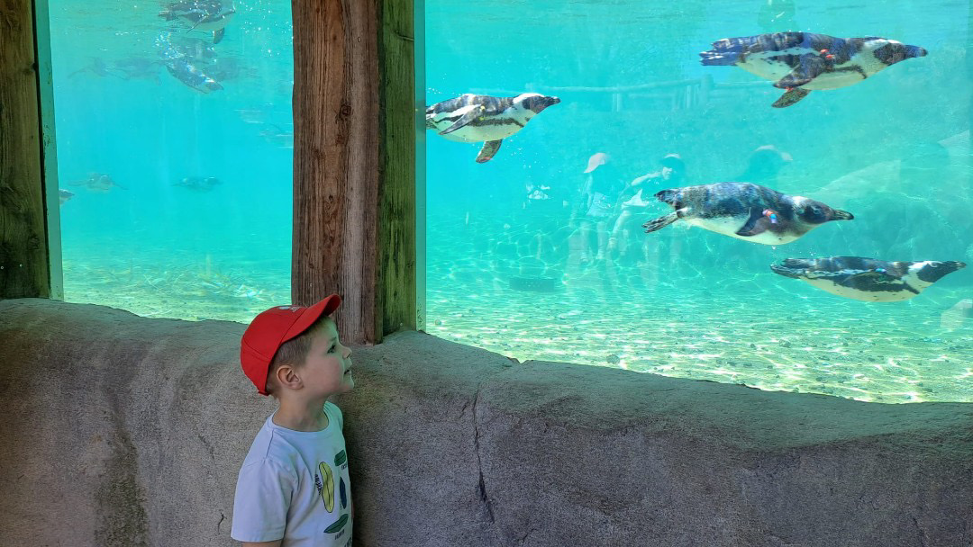 Kita St. Marien auf großer Entdeckungstour