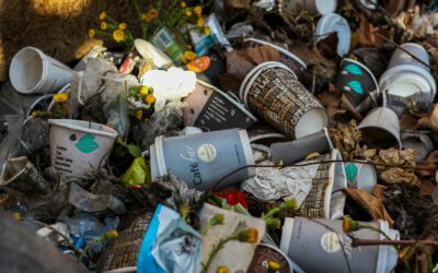Lohberg zeigt Flagge – Schluss mit dem Müll-Frust