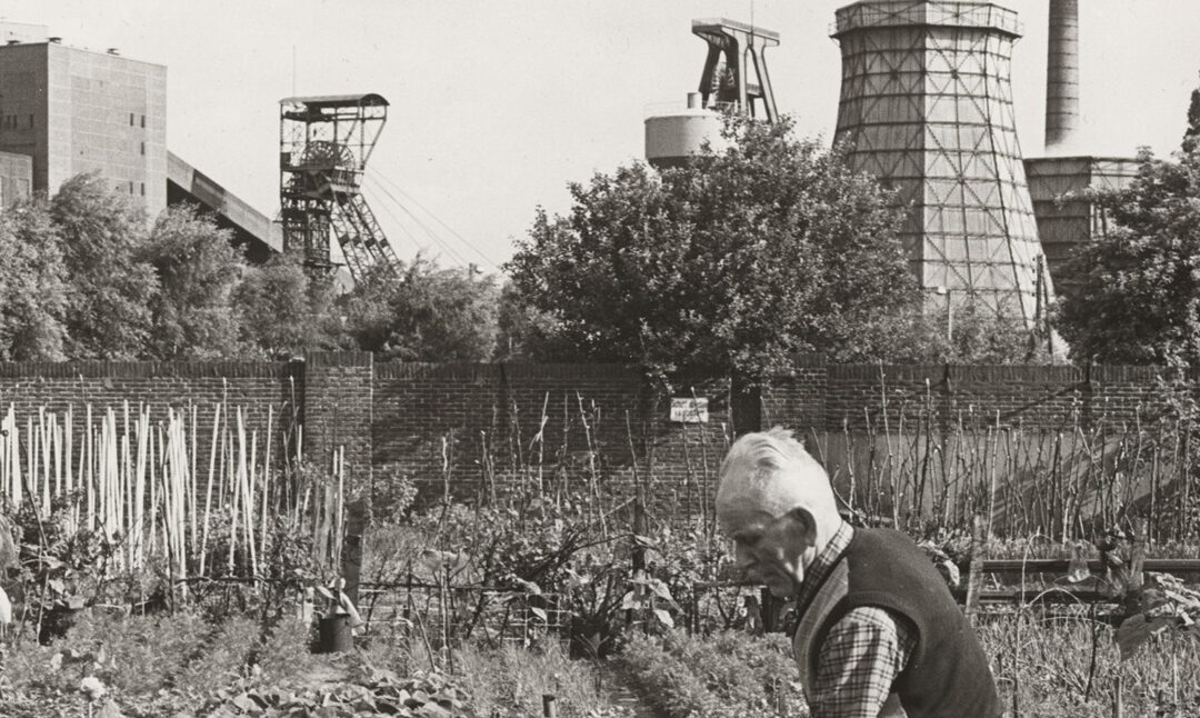 Gartengeschichten gesucht