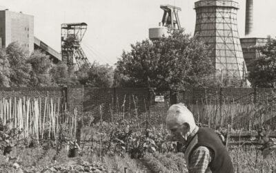 Gartengeschichten gesucht