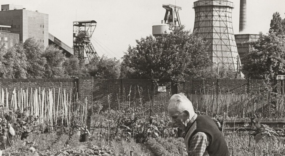 Gartengeschichten gesucht