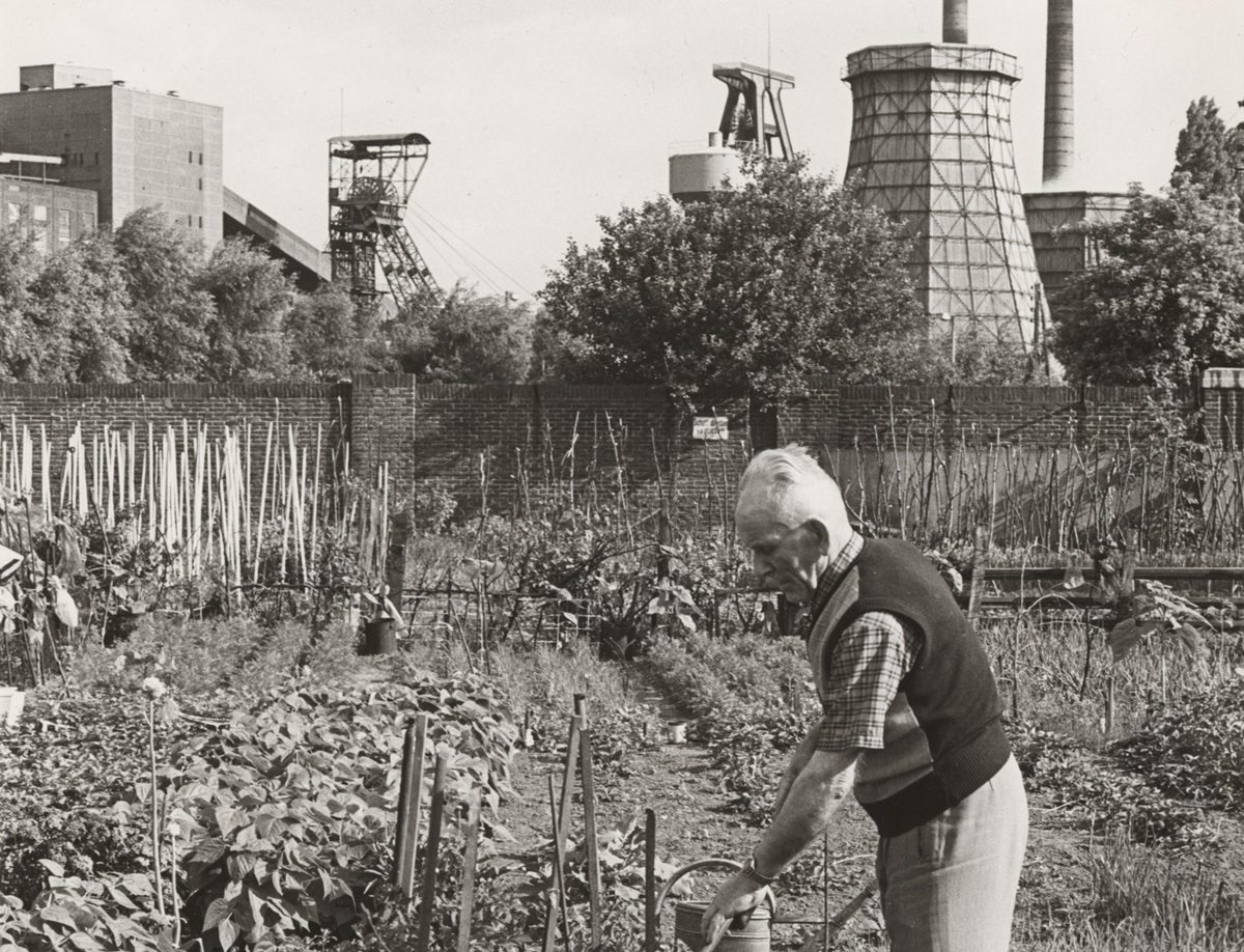 Gartengeschichten gesucht