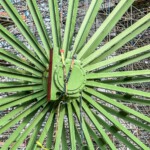 Foto: Rainer Höpken